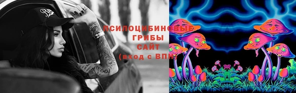 альфа пвп Новокубанск
