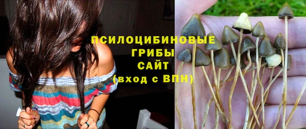 MDMA Premium VHQ Новозыбков