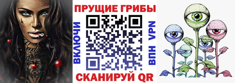 Купить закладки  Донской  Псилоцибиновые грибы ЛСД 